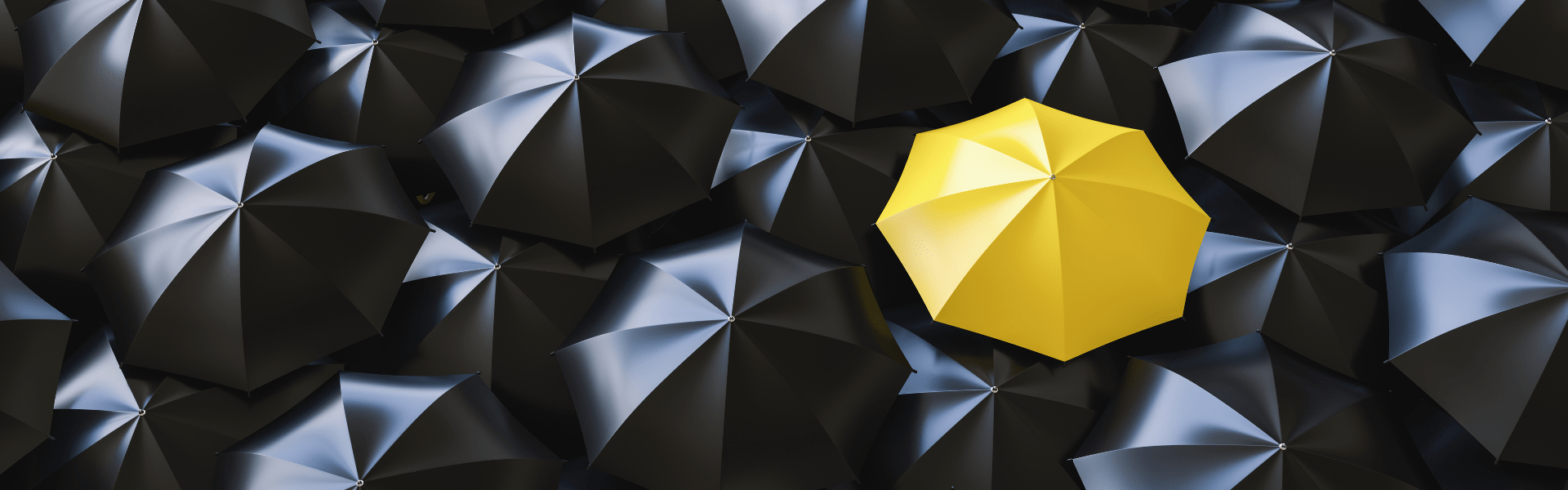 Group of black umbrellas with one yellow umbrella.