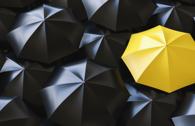 Group of black umbrellas with one yellow umbrella.